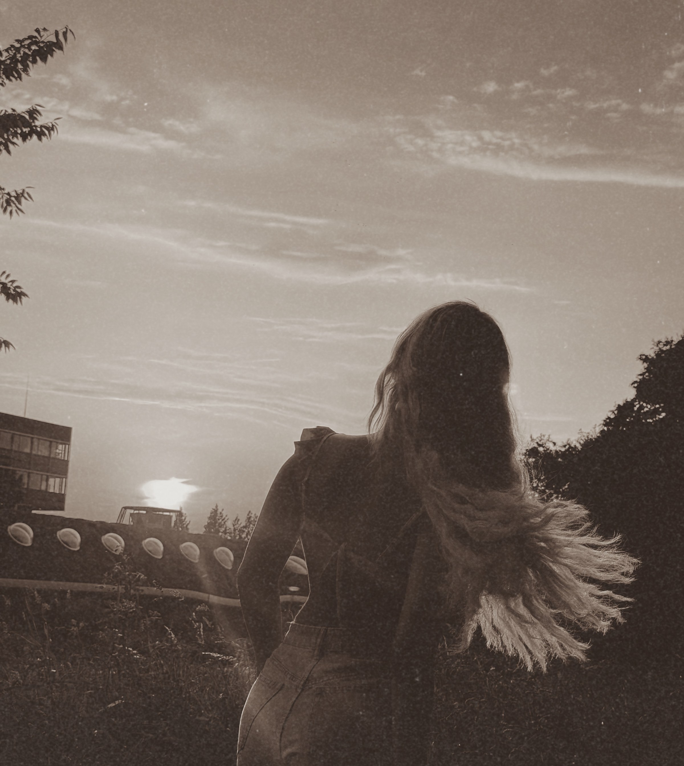 Miss Ives facing the sunset, hair in the wind