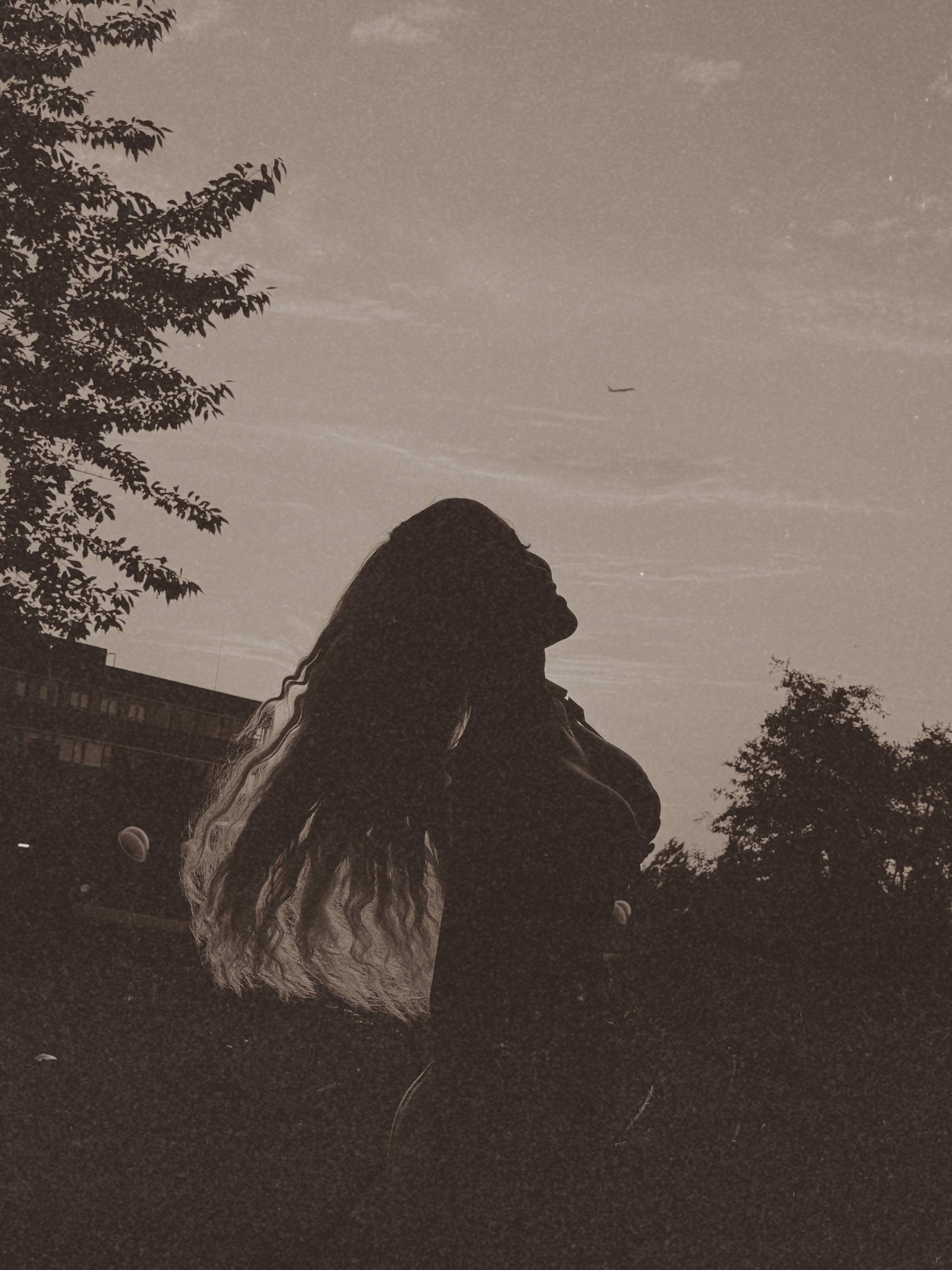 Silhouette of Miss Ives against the evening sky
